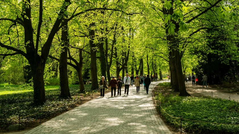 Park Warszawa